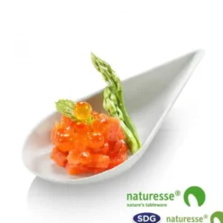 Mini Assiette Goutte Pulpe de Cellulose Finger Food 10x5 cm - SDG - Lot de 2400