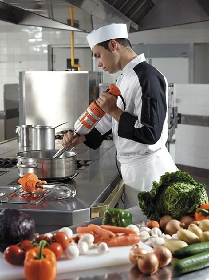 Mixeur Plongeant Professionnel Senior MX 300 - Dynamic