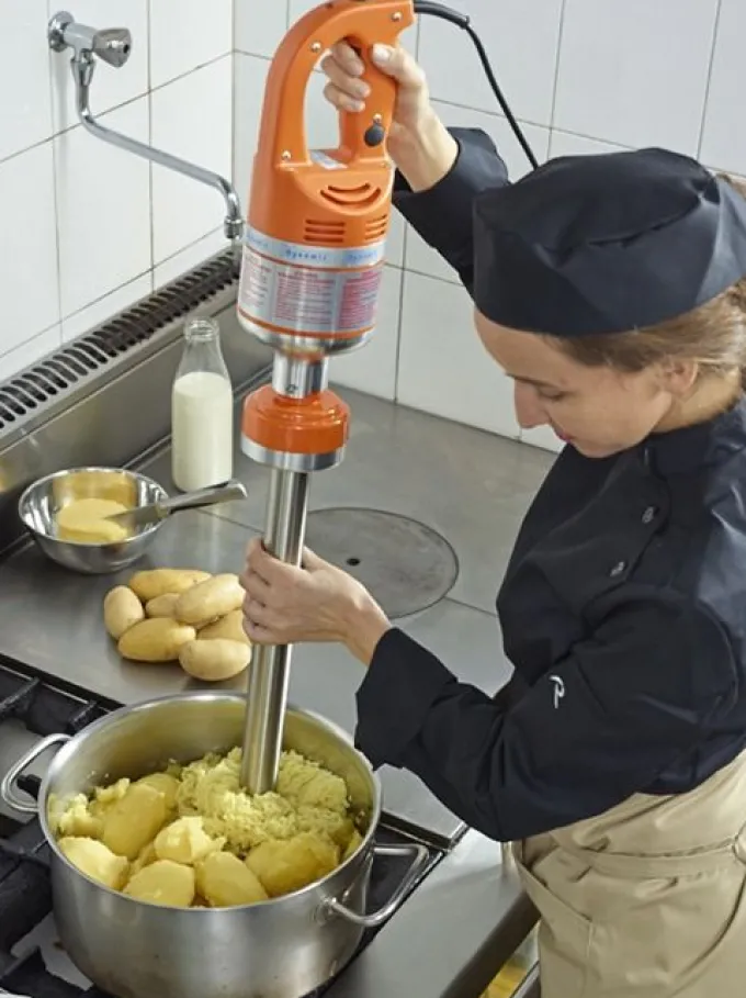 Mixeur Plongeant Professionnel Master Trio 410.H - Dynamic