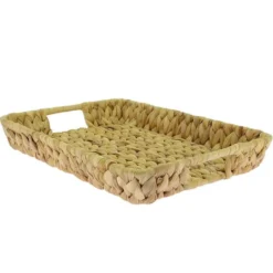 Plateau Rectangle Jacinthe D'Eau 35X25 Lot de 20 - Créapak
