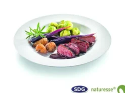 Plat Rond Pulpe de Cellulose Elégance 27 cm - SDG - Lot de 500