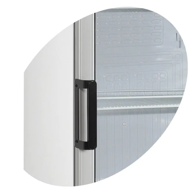 Réfrigérateur à Boissons FS1220 - TEFCOLD