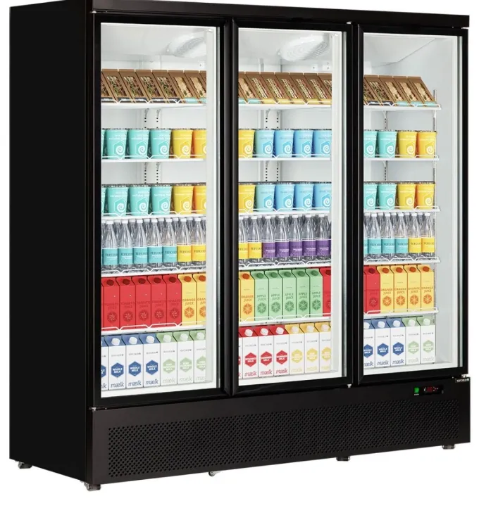 Réfrigérateur Professionnel vitré Atom Maxi C3DB - Tefcold