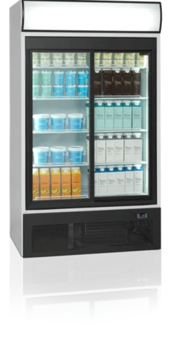 Réfrigérateur Vitré FSC1950S - TEFCOLD