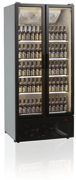Réfrigérateur Vitré FS890H - TEFCOLD