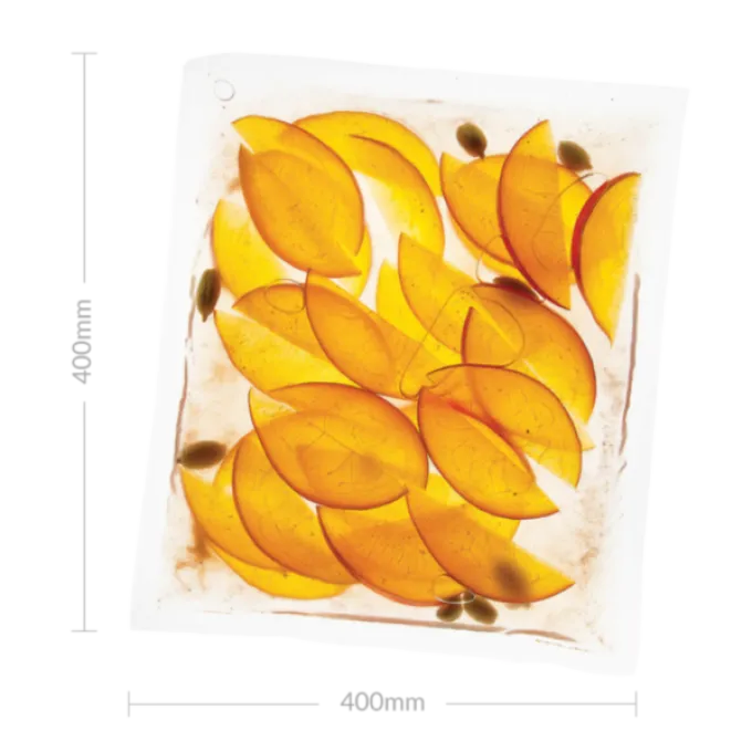 Sac Sous-Vide 400 mm x 400 mm - Boîte de 200 - SousVideTools
