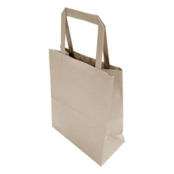 Sacs Papier Poignées plates - Lot de 250 - H240 mm - Fiesta Recyclable