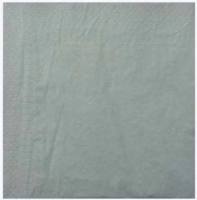Serviette Ouate 2 Plis 39x39 cm Ecolabell - Lot de 2 Colis de 1800 - Manufacture De L'Ephemere