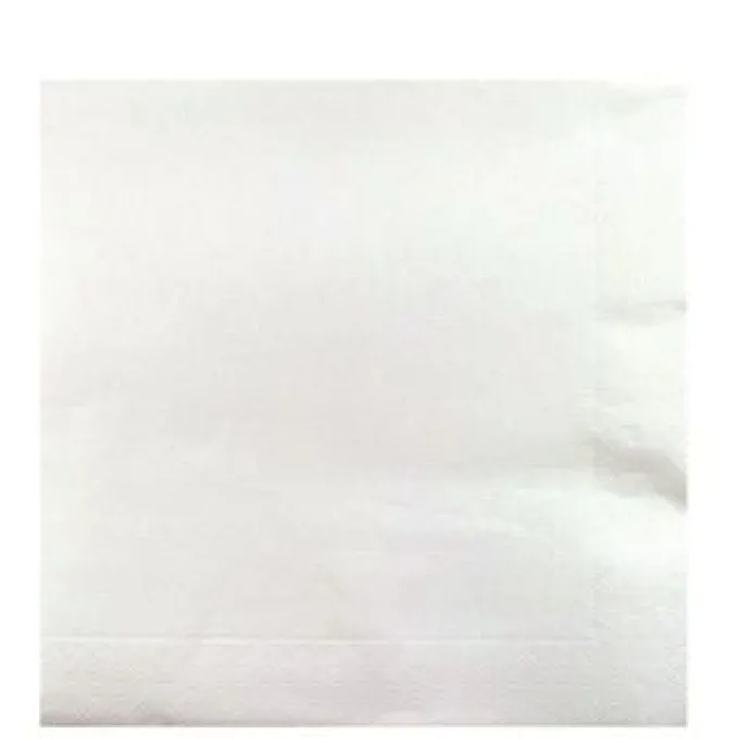 Serviette Ouate 20x20 cm Blanc Ecolabell - Lot de 2 Colis de 4000 - Manufacture De L'Ephemere
