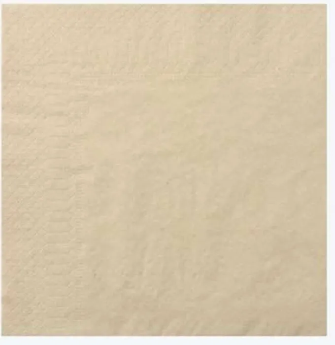 Serviette Ouate 39x39 cm Kraft Ecolabell - Lot de 2 Colis de 1800 - Manufacture De L'Ephemere