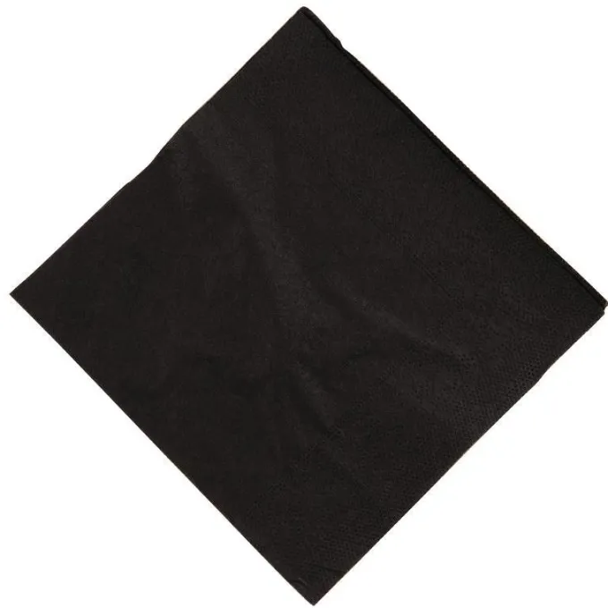 Serviettes cocktail noires 250 mm - Katrin - Carton de 2000
