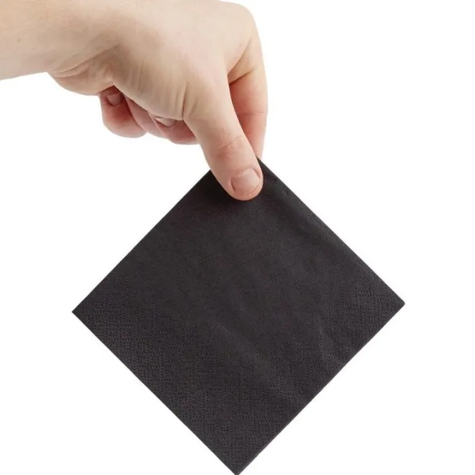 Serviettes Cocktail 2 Plis Format 1/4 Recyclable 240mm Noires - Lot de 4000 - Fiesta