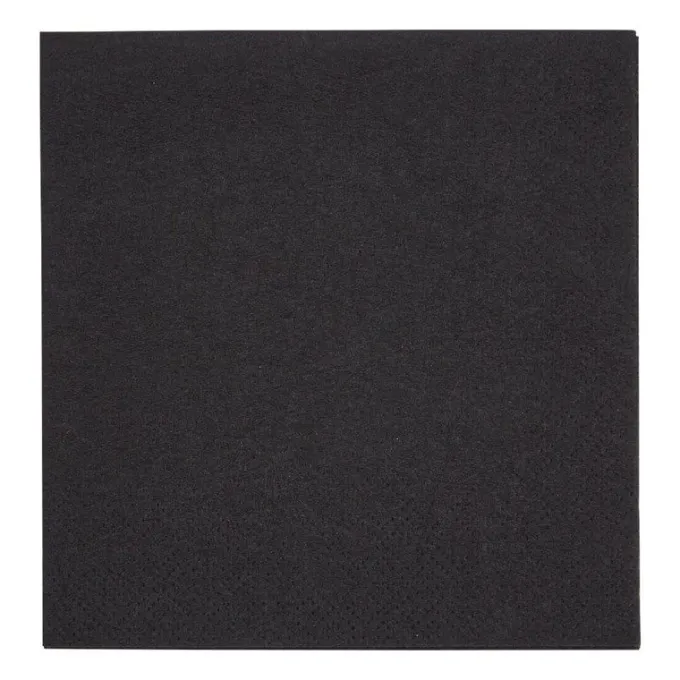 Serviettes Cocktail 2 Plis Format 1/4 Recyclable 240mm Noires - Lot de 4000 - Fiesta