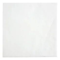 Serviettes Cocktail 2 Plis Format 1/4 Recyclable 240mm Blanches - Lot de 4000 - Fiesta