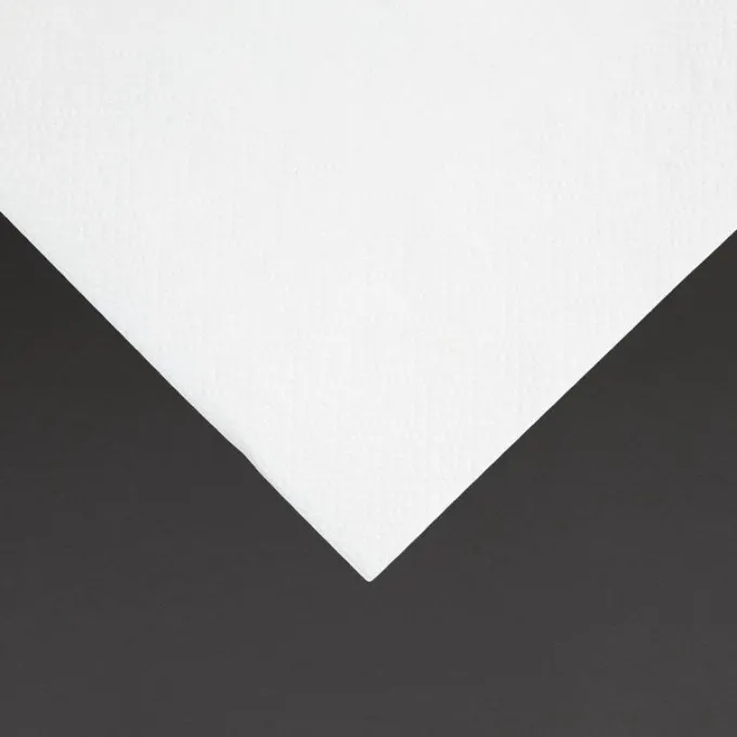Serviettes Cocktail 2 Plis Format 1/4 Recyclable 240mm Blanches - Lot de 4000 - Fiesta