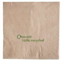 Serviettes double épaisseur en papier recyclé 330 mm - Carton de 2000
