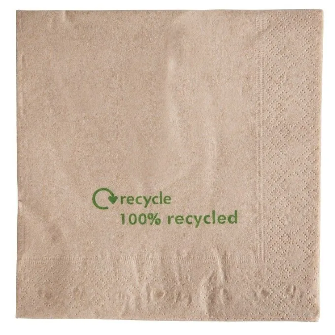 Serviettes double épaisseur en papier recyclé 330 mm - Carton de 2000