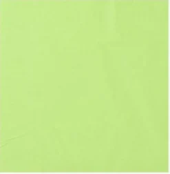Serviette Vert Pistache 39x39 cm Ecolabell - Lot de 2 Colis de 1800 - Manufacture De L'Ephemere