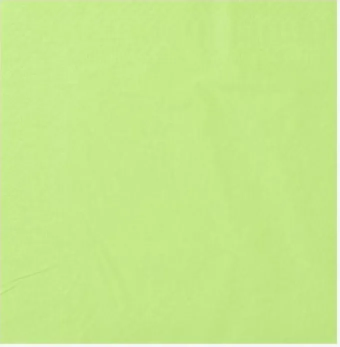 Serviette Vert Pistache 39x39 cm Ecolabell - Lot de 2 Colis de 1800 - Manufacture De L'Ephemere