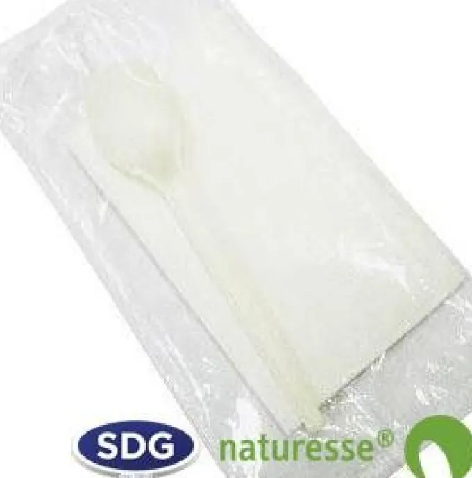 Set de Couvert Cuillère à Dessert en CPLA - SDG - Lot de 200