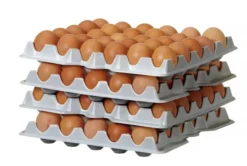 Set de 4 plateaux à oeufs pour HENDI OVOBOX 120, 291x288x(P)41mm - Hendi