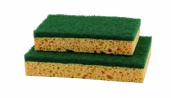 Tampon Vert Sur Eponge Gd Modèle - Lot de 10 - Guialto