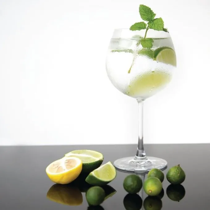 Verres à Gin en Cristal Bar Collection 645mL - Lot de 6 - Olympia