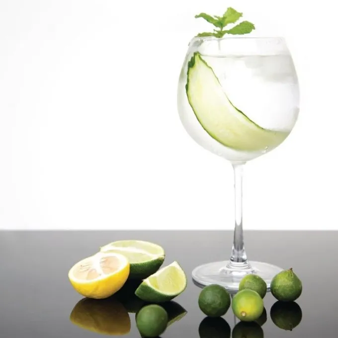 Verres à Gin en Cristal Bar Collection 645mL - Lot de 6 - Olympia
