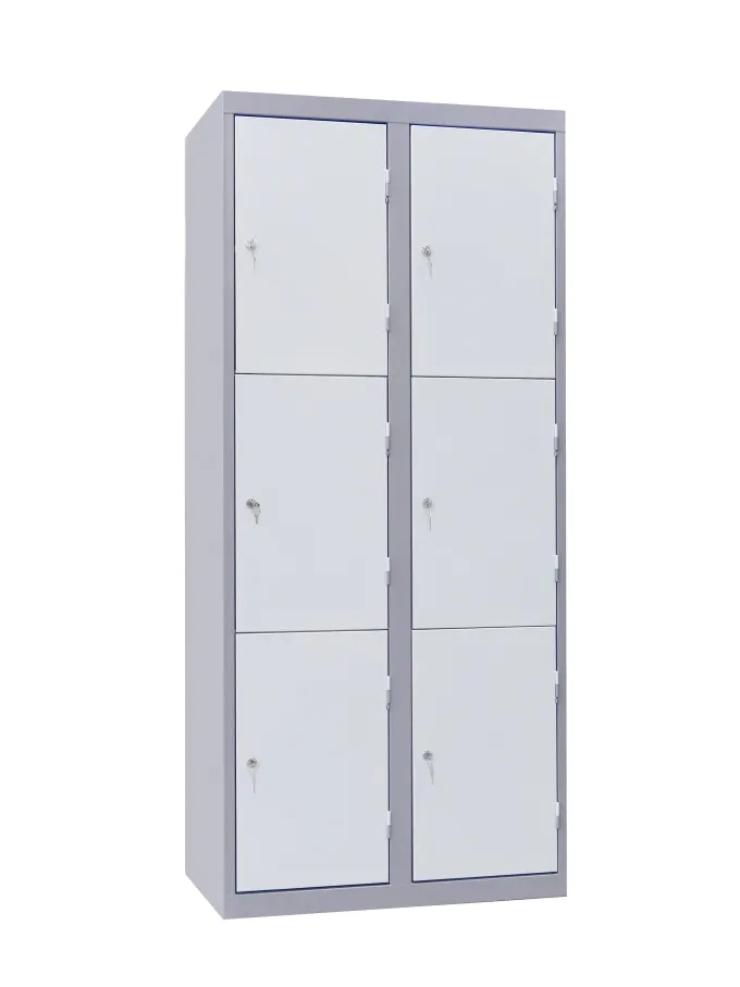Vestiaire Multicasiers Acier 2 Colonnes 6 Cases - L 600 mm