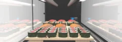 Vitrine Sushi Série LOGIC Cuve Plane avec Groupe Déporté - L 1540 mm - SAYL